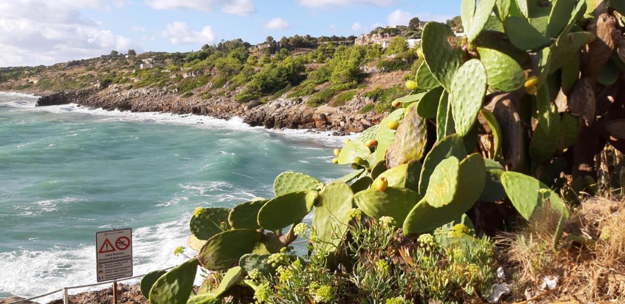 La Casetta Di Francesca Santa Maria di Leuca Εξωτερικό φωτογραφία